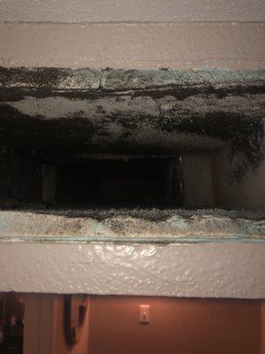 Mold in air duct