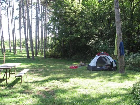 Tent camping area in the Pines.