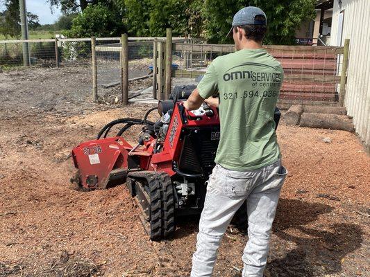 Complete tree removal and stump grinding.