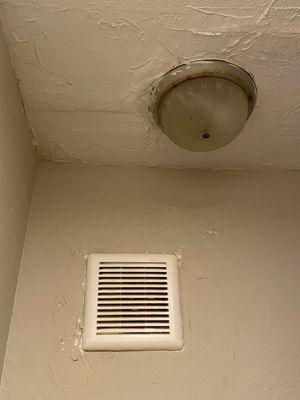 Bathroom ceiling