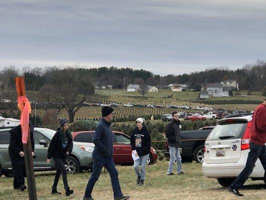 Massive lines of cars