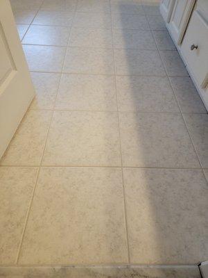 Recent Tile & Grout cleaning, notice the grout lines are crisp and clean all the way to the edge.