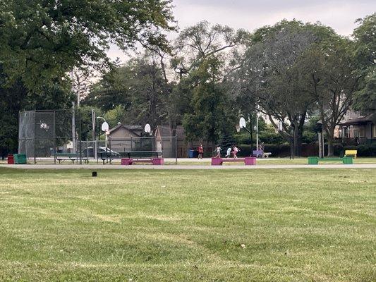 Basket ball and baseball