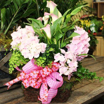 $125 Valentine's Living Flower Arrangement.