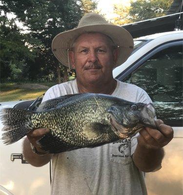 Black Crappie caught in Kerr Lake, 2.50lbs.