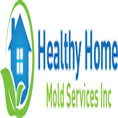 Healthy Home Mold Services