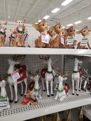 All the reindeer you could want