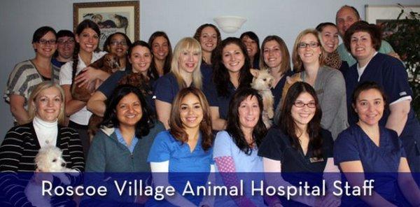 Roscoe Village Animal Hospital's friendly and professional staff welcomes you and your pet!