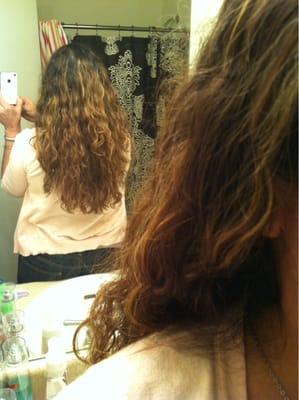 The beginning - caramel frizzy dried out - choppy cut mess!