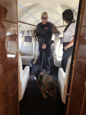 K9 Danka and I searching private jets