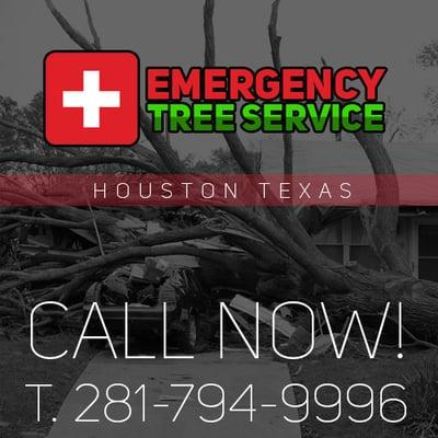 Emergency Tree Service Houston Emergency Tree Service Houston Emergency Tree Service Houston