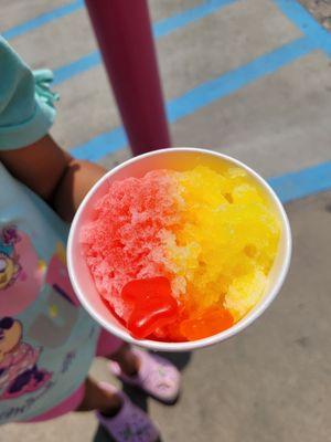 Pelicans Snoballs