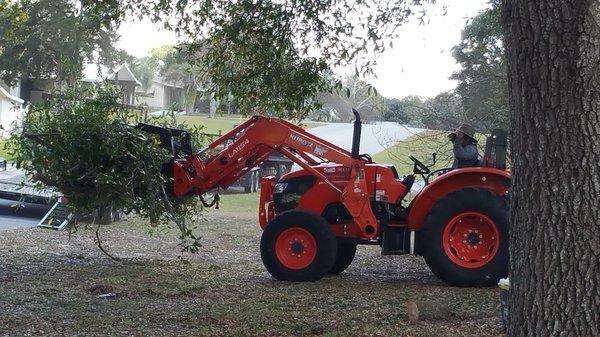 Kubota Tractor