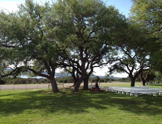 Green in Texas