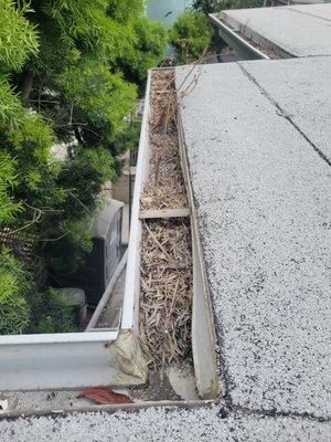 leafs, dirt, sand roof  damage your gutters