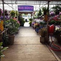 Springtime in our Greenhouse