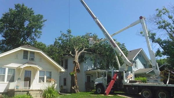 Midwest Tree Care