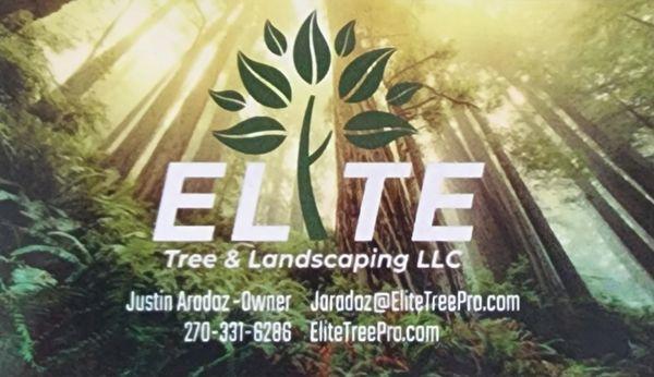 Elite Tree & Landscaping