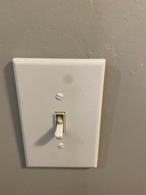 Wrong light switch took my old one which was brushed nickel and replaced it with cheap white cover