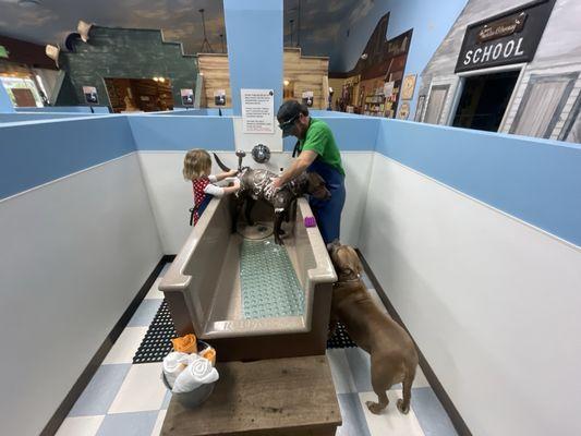 Dog washing tub