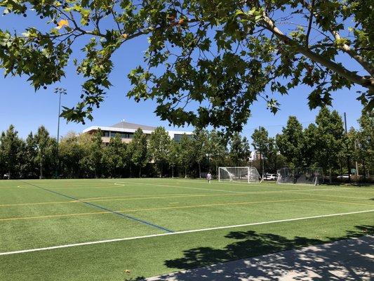 Stanford / Palo Alto Community Playing Fields!!!