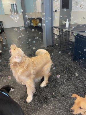 Bubble fun in the Gym room at Towson