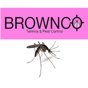 Brownco Termite & Pest Control LLC