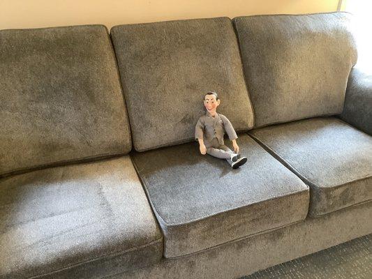 Stanton sleeper sofa made in Oregon. Pee wee approved.