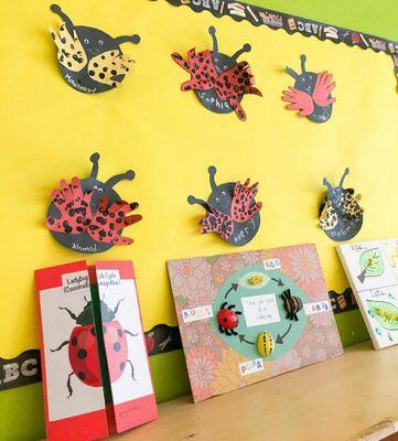 Pre-k's ladybug life cycle projects