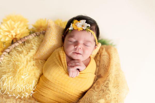 Newborn session