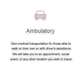 Specializing in long-distance ambulatory transportation.