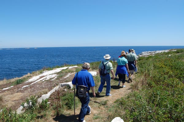 Walking around Appledore Island and learning about the natural history and ecology of the island.