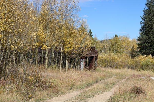 Mining road looking back
At willow carr wetlands the center or eye of lump gulch