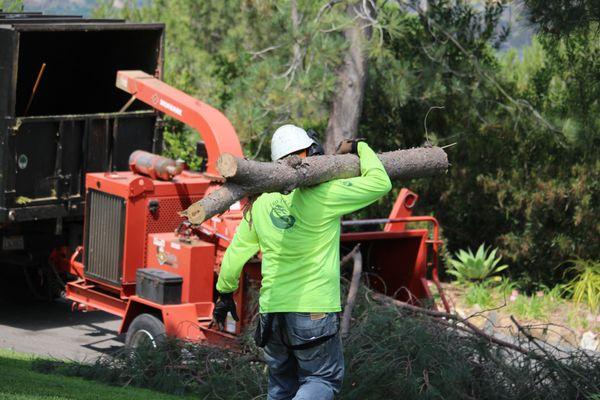 Tree chippers for the brush