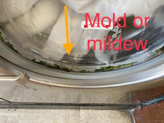 Mold or green monster inside the recess Of the front door