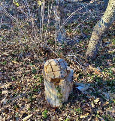 Awbury Arboretum