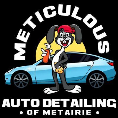 Meticulous Auto Detailing