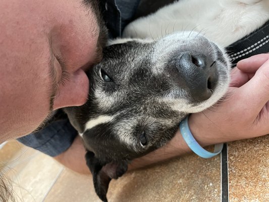 Giving puppy all of our love & prayers before his 4hr life saving surgery. The hospital gave us our own private room to rest in.