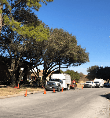 Andrew Rhoads Certified Arborist