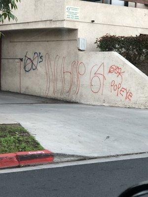 Gang graffiti