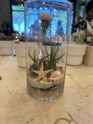 DIY Jellyfish Terrarium