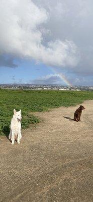 There was a Rainbow today at Fiesta Island.