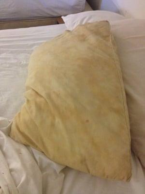 Gross pillow