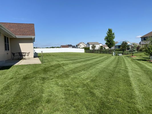 Lawn mowed and manicured