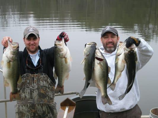 Some nice bass caught in the lake