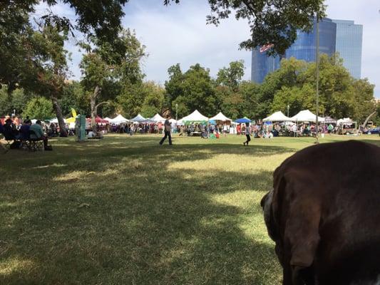 Texas State Veggie Fair