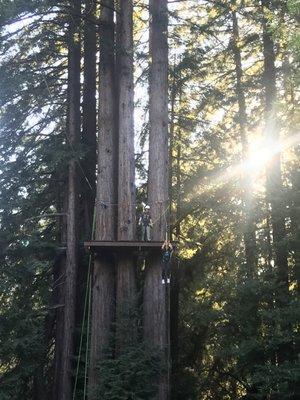 Zip Lining, always a great addition to any retreat!