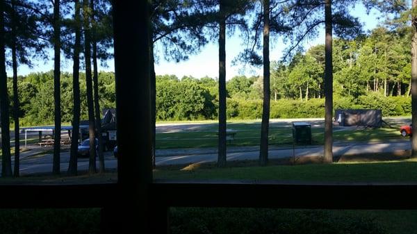 View from the swing on the front porch