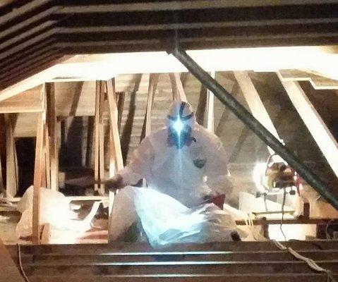 Asbestos vermiculite removal in an attic