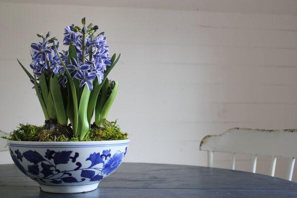 A beautiful table arrangement.